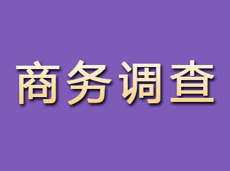 平凉商务调查